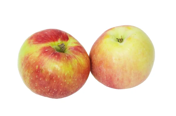 Apfel auf weißem Hintergrund — Stockfoto