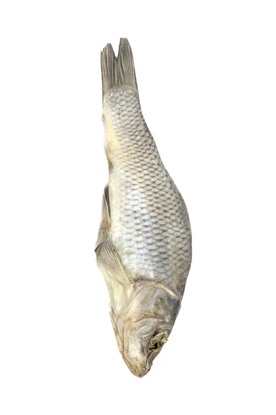Ikan kering yang dialokasikan pada latar belakang putih — Stok Foto