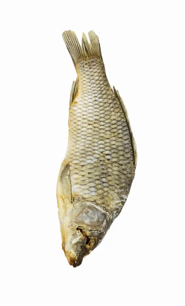 Peixe seco isolado sobre fundo branco — Fotografia de Stock