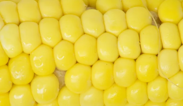 Кукуруза. macro — стоковое фото
