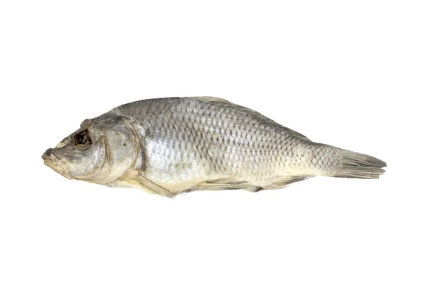 乾燥された魚、白の背景に割り当てられます — ストック写真