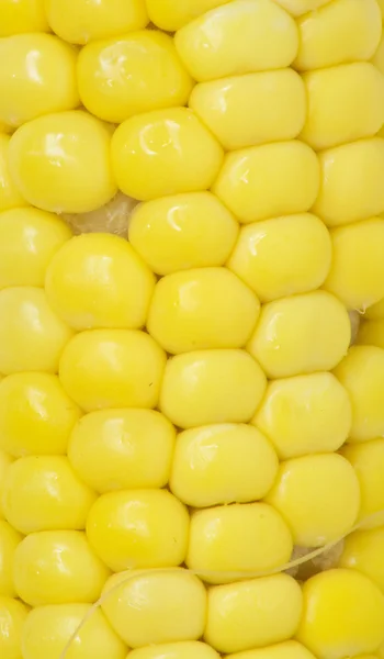 Kukurydza. makro — Zdjęcie stockowe