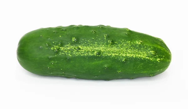 Komkommer geïsoleerd op witte achtergrond. — Stockfoto