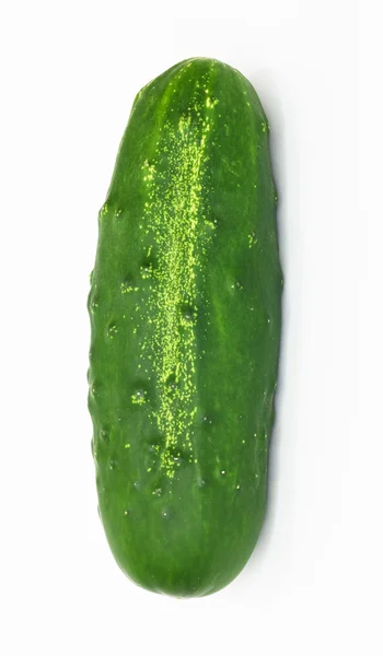 Komkommer geïsoleerd op witte achtergrond. — Stockfoto