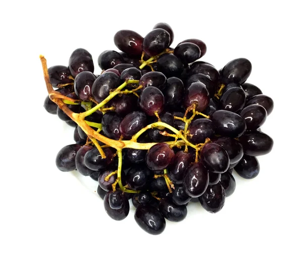 Bouquet de raisins noirs isolé sur fond blanc — Photo