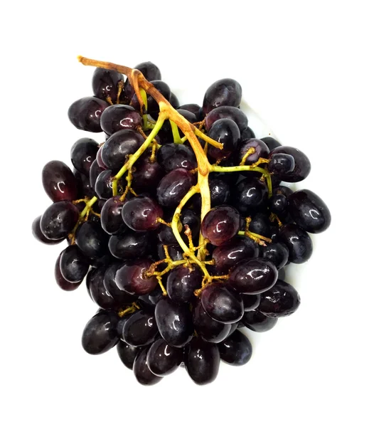 Stelletje zwarte druiven geïsoleerd op witte achtergrond — Stockfoto