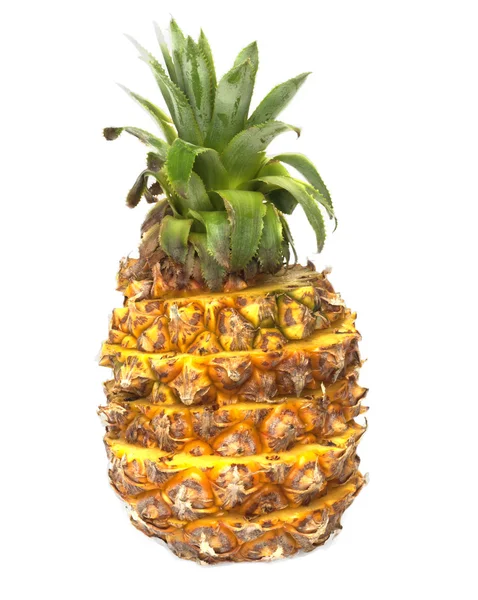 Friss ananász fehér háttér — Stock Fotó