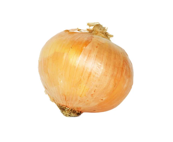 Single onion bulb isolated on white background — Zdjęcie stockowe
