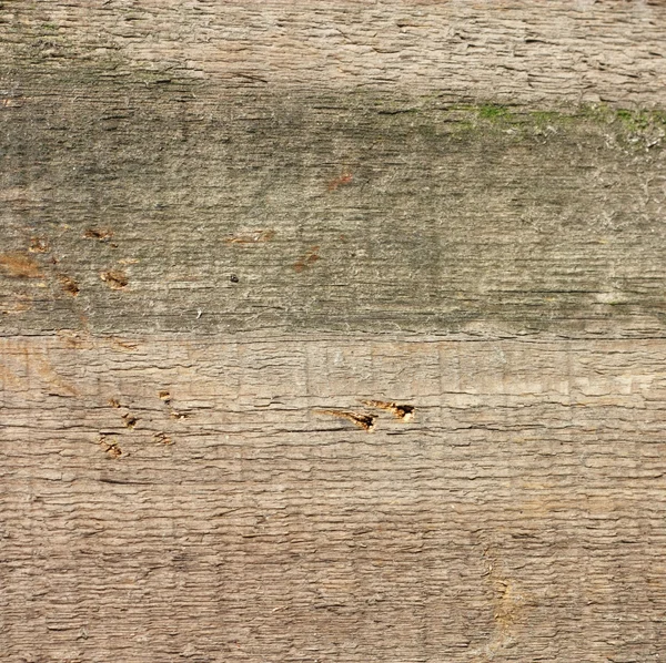 木製のテクスチャ - は背景として使用することができます。 — ストック写真