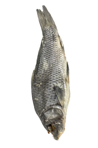 Сушена риба, виділена на білому тлі — стокове фото
