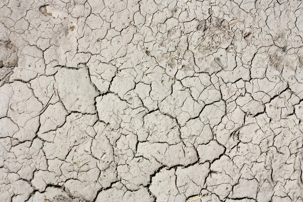 Монохромная текстура
