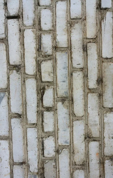 Texture de brique creuse — Photo
