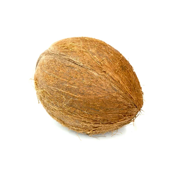 Kokosnoot geïsoleerd op witte achtergrond — Stockfoto