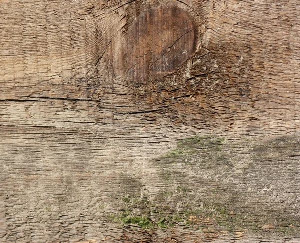 Textura de madera - se puede utilizar como fondo — Foto de Stock