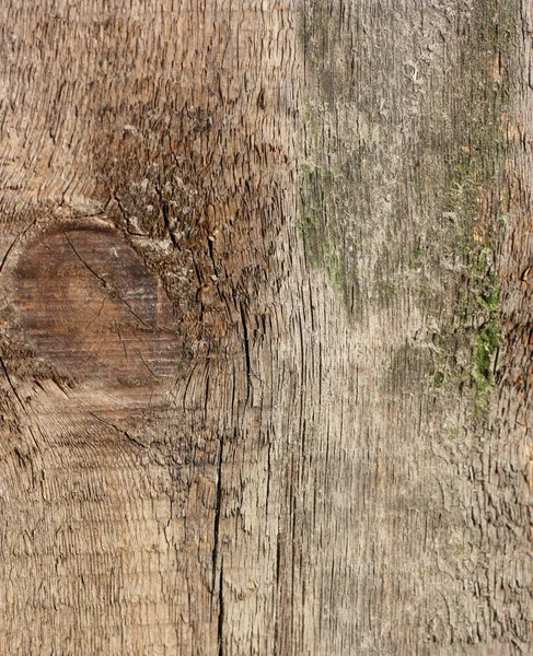 Деревянная текстура - может быть использована в качестве фона — стоковое фото