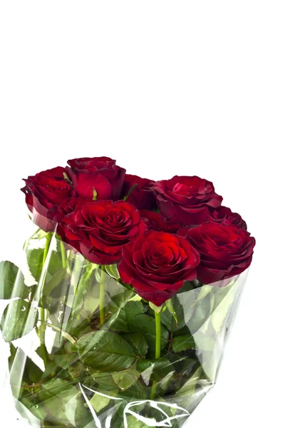 Belas rosas vermelhas em um fundo branco com espaço para cópia . — Fotografia de Stock