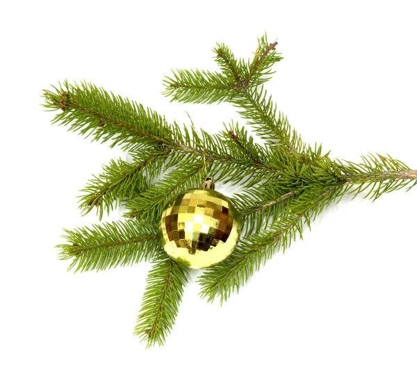 Palla dell'albero di Natale appesa a un ramo di albero di Natale, isolata — Foto Stock
