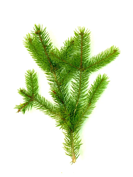 Χριστουγεννιάτικο πράσινο πλαίσιο απομονωμένο σε λευκό φόντο — Φωτογραφία Αρχείου