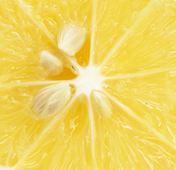 Citron. macro — Photo