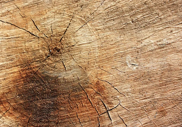 Деревянная текстура. Можно использовать в качестве фона . — стоковое фото