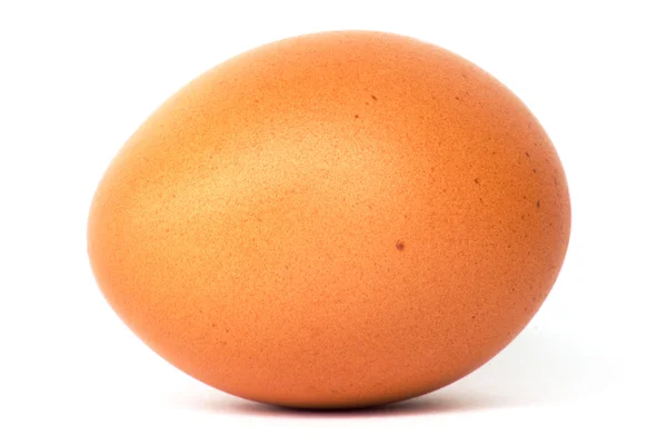 卵。マクロ — ストック写真
