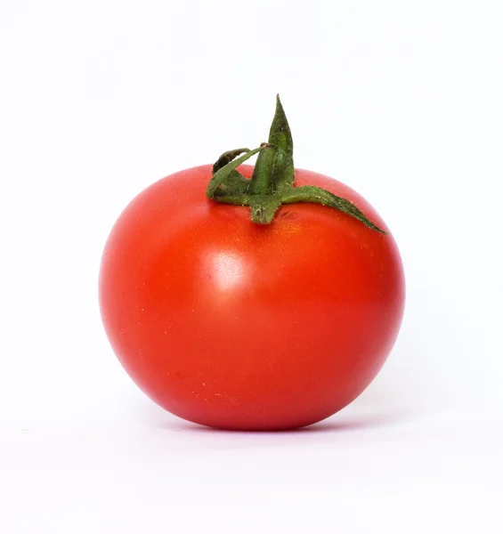 One tomato Royalty Free Stock Photos