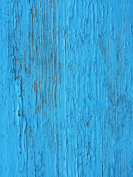 关闭在蓝色木制栅栏面板上 — 图库照片