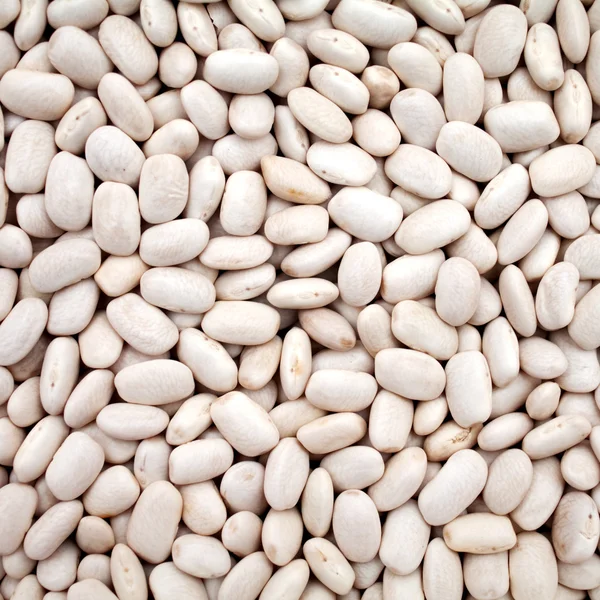 Bílé fazole haricot — Stock fotografie