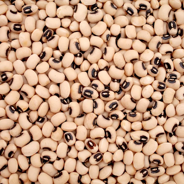 Black eyed fazole — Stock fotografie
