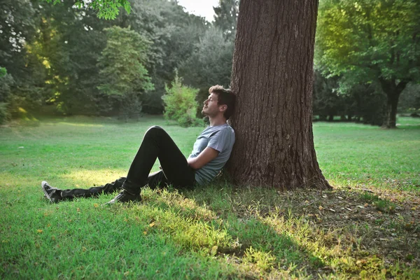 Relax in the park — Stock Photo, Image