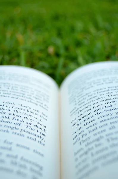 Open Book On Grass — Stock Photo, Image