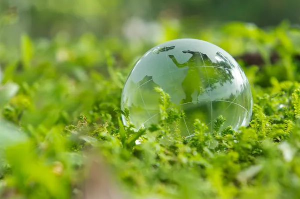 Green World — Stock Photo, Image
