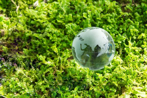 녹색 세계 — 스톡 사진