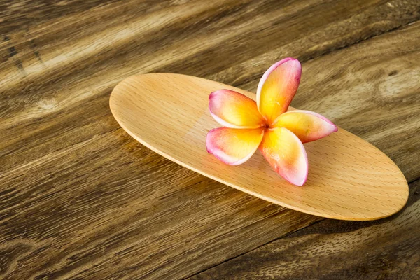 Plumeria on wooden tray — Stock Photo, Image