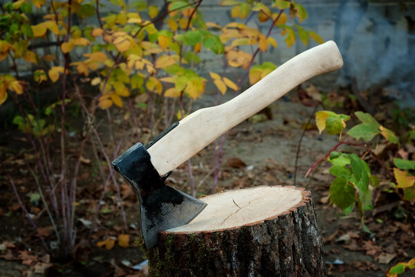 Old type of axe on log