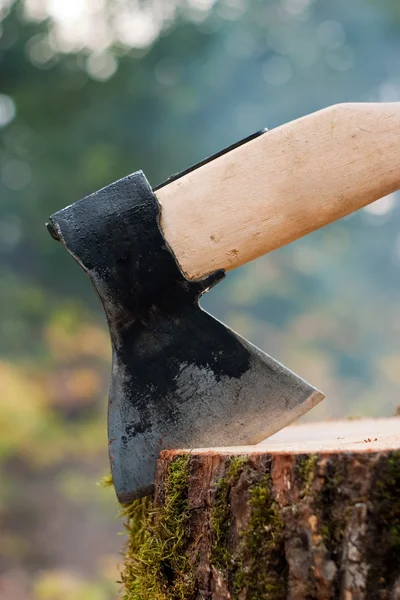 Velho tipo de machado no log — Fotografia de Stock