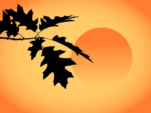 Herbstlaub — Stockvektor