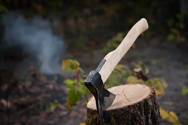 Velho tipo de machado no log — Fotografia de Stock