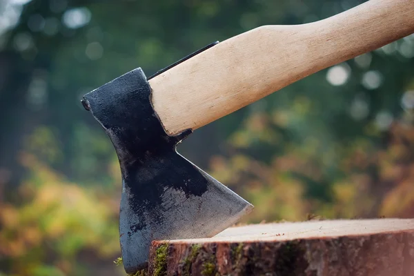 stock image Old type of axe on log