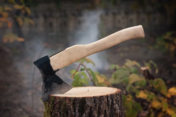 Ancien type de hache sur bois rond — Photo