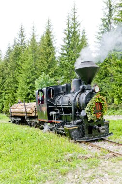 Steam train, Museum of Kysuce village, Vychylovka, Slovakia clipart