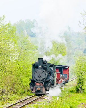 Narrow gauge railway, Banovici, Bosnia and Hercegovina clipart