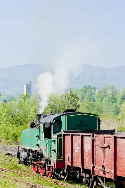 Steam godståg, durdevik, Bosnien och hercegovina — Stockfoto