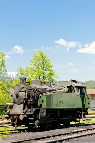 Locomotora de vapor, punto de entrega en Oskova, Bosnia y Hercegovi — Foto de Stock