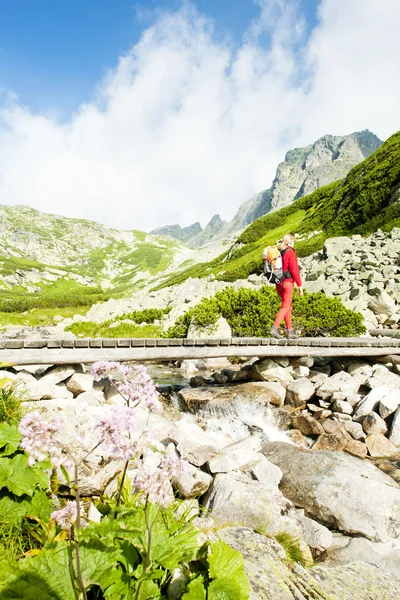 Backpackerin im großen kalten Tal, vysoke tatry (hohe Tatra) — Stockfoto