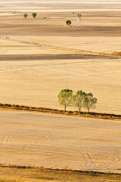 Landscape near Ampudia, Castile and Leon, Spain — Stock Photo, Image