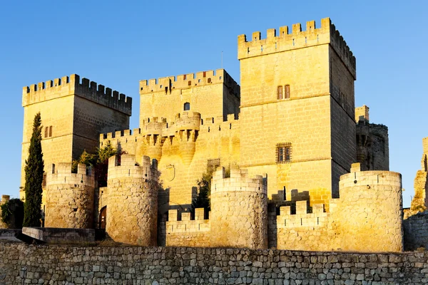 Замок Ампудия, Кастилия и Леон, Испания — стоковое фото