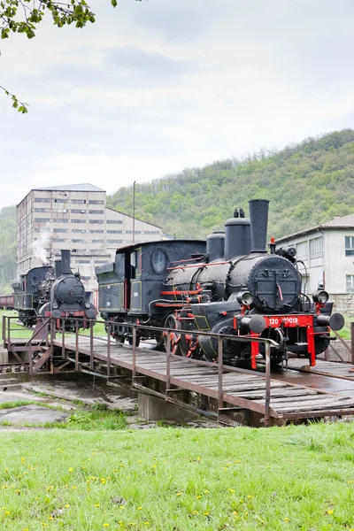 증기 기관차, resavica, 세르비아 — 스톡 사진
