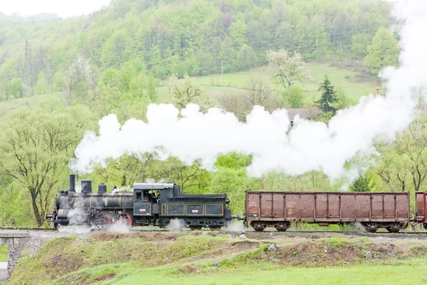 Tren de carga a vapor (126.014), Resavica, Serbia — Foto de Stock