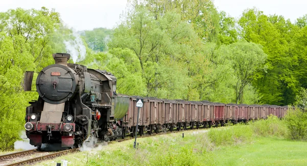 Steam freight train in Tuzla region, Bosnia and Hercegovina — Stock Photo, Image